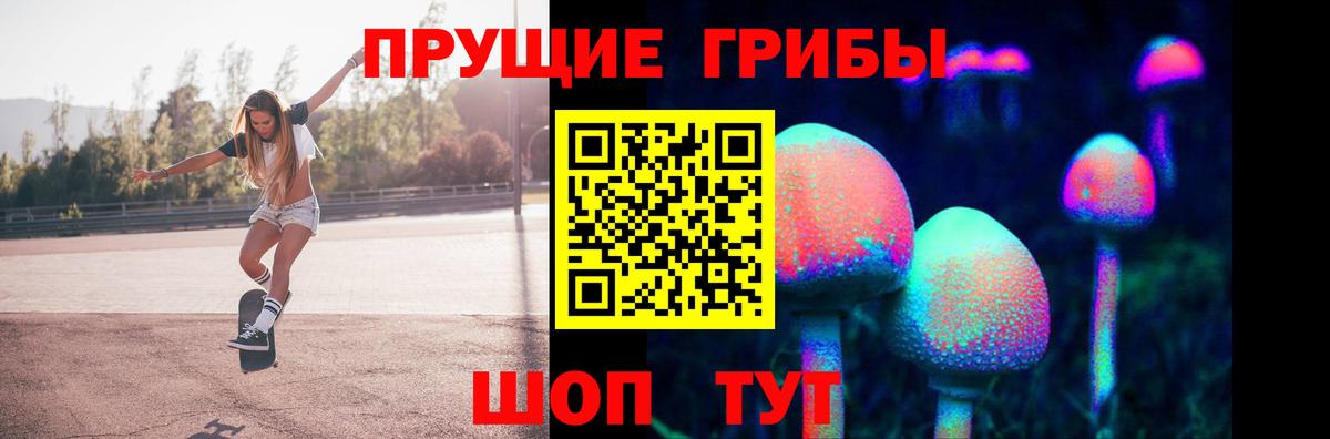 Псилоцибиновые грибы Psilocybine cubensis Кувандык